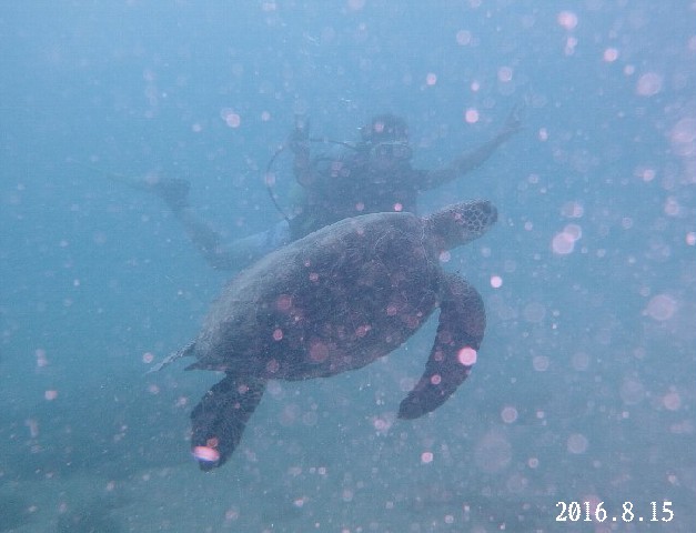 d0342920_13584234.jpg