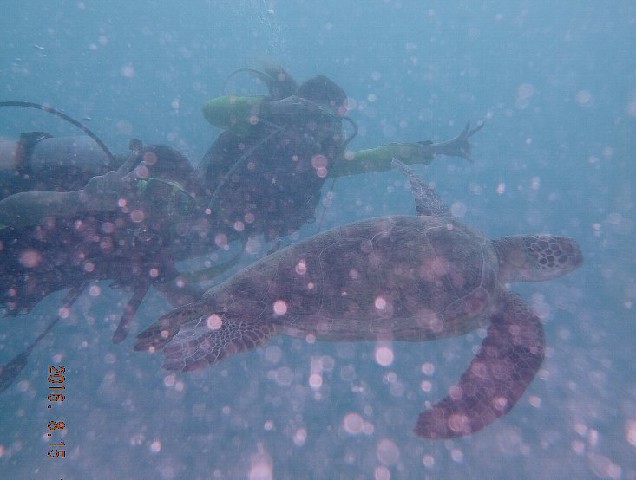 d0342920_13584397.jpg