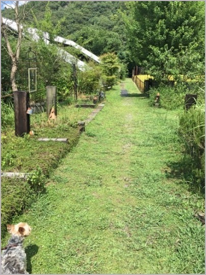 d0017632_23143666.jpeg