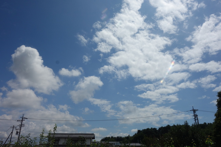 a0287336_2139392.jpg