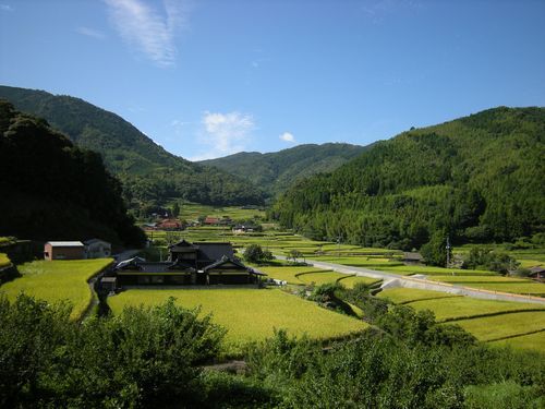 ニッポン持続的農業&放牧紀行~山口・ふるさと牧場の林間放牧_b0206037_08154660.jpg