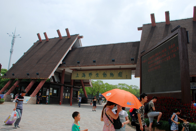 b0067346_22585812.jpg