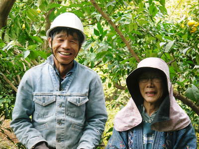 香り高き柚子(ゆず) 柚子こしょう用の香り高き『青柚子』 平成28年度の販売スタート!_a0254656_18364297.jpg