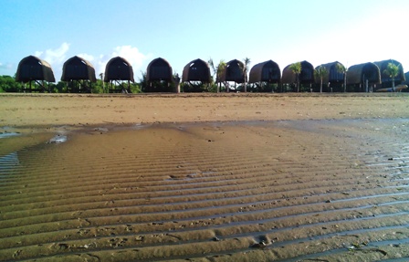 きれいな砂紋に出合えました あけっぴろげてあらいざらいのあるがまま