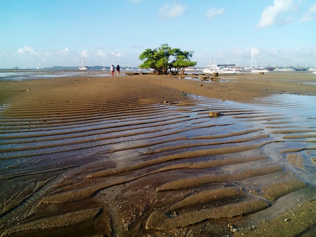 きれいな砂紋に出合えました あけっぴろげてあらいざらいのあるがまま