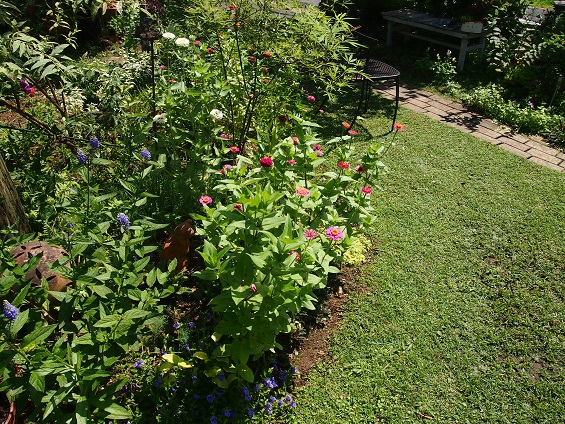 a0139570_21534273.jpg