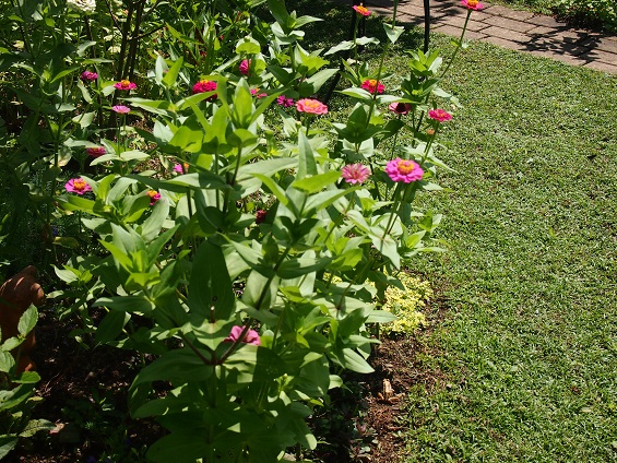 a0139570_21535765.jpg