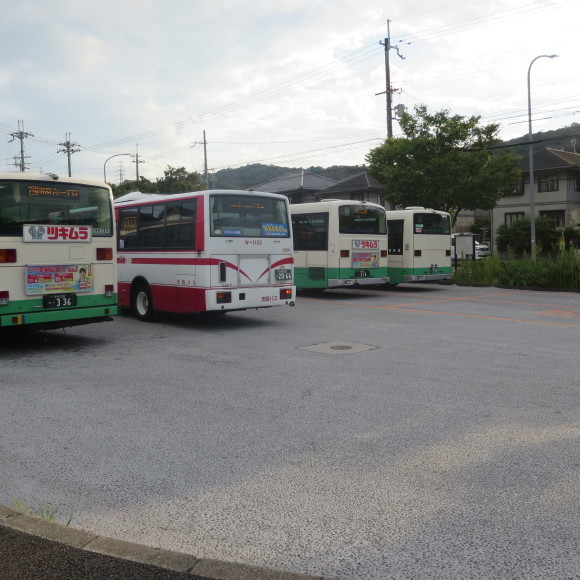 難波から奈良、路線バスの旅～ルイルイはいませんてば～_c0001670_07174361.jpg