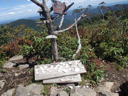 2016.8.21仙人沢から仙台神室岳へ_a0344771_17200443.jpg