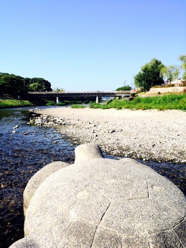 d0348182_15594531.jpeg