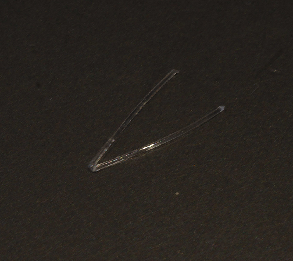 c0095801_22123545.jpg