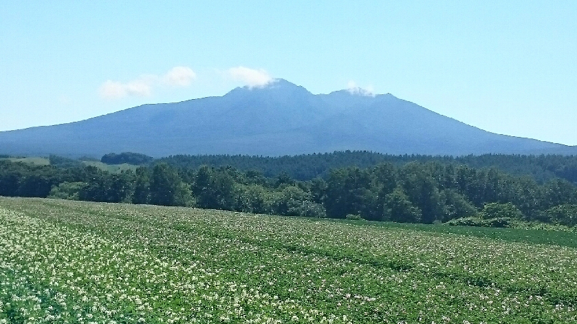 c0242406_11453326.jpg