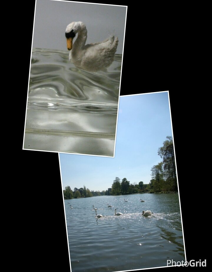 e0082110_555516.jpg