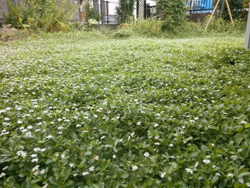 d0345712_17532921.jpg