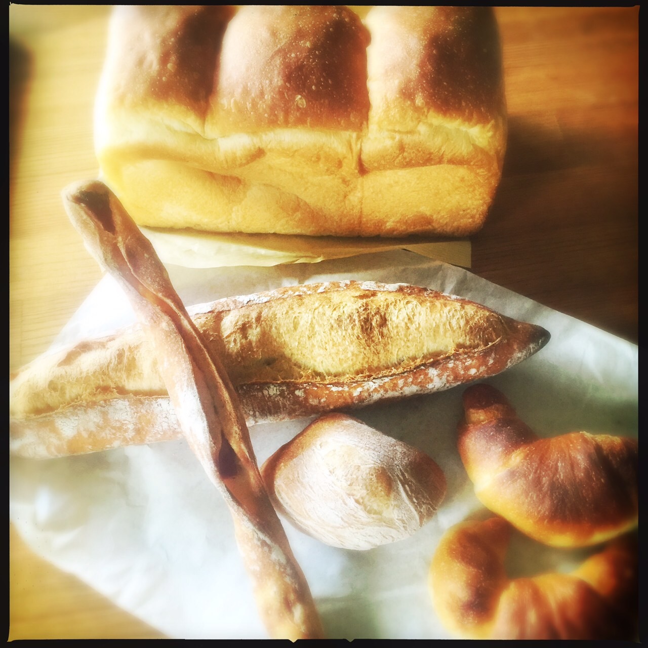 木津川  レガル_f0128612_08591754.jpeg