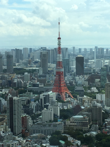 東京2日目。ジブリの大博覧会とミッドタウンとタコシェと吉祥寺PARCOとトムネコゴ_f0369914_17150767.jpg