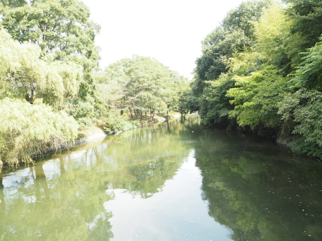 c0317915_21472995.jpeg