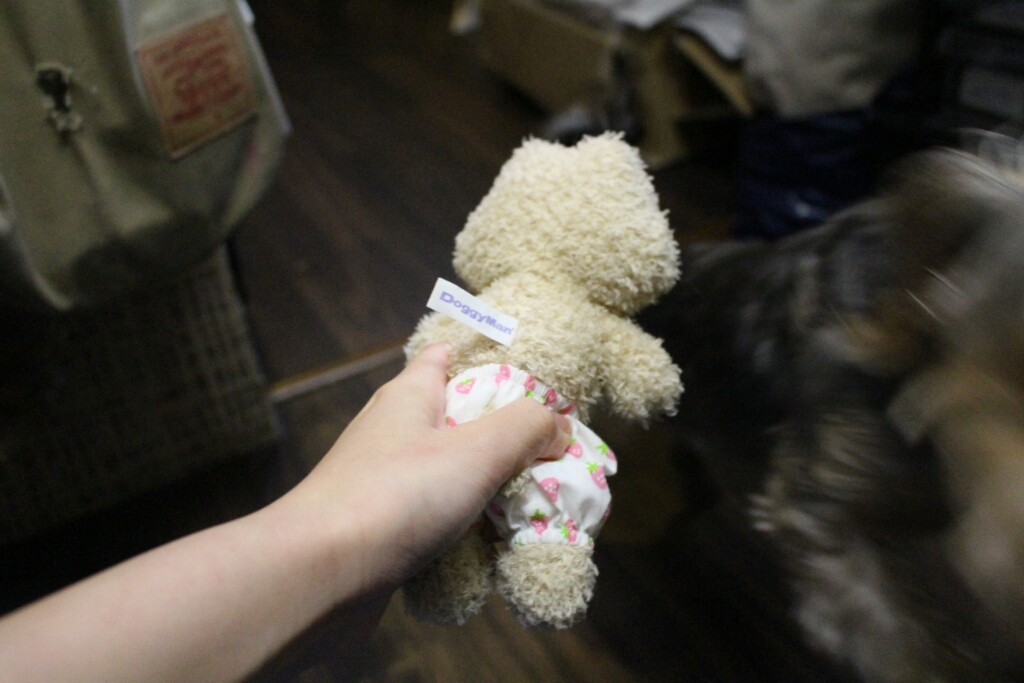 お泊まりブログ！！_b0130018_15322468.jpg