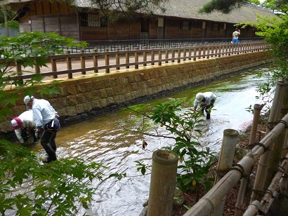 清水園脇を流れる新発田川の清掃_e0135219_11000973.jpg