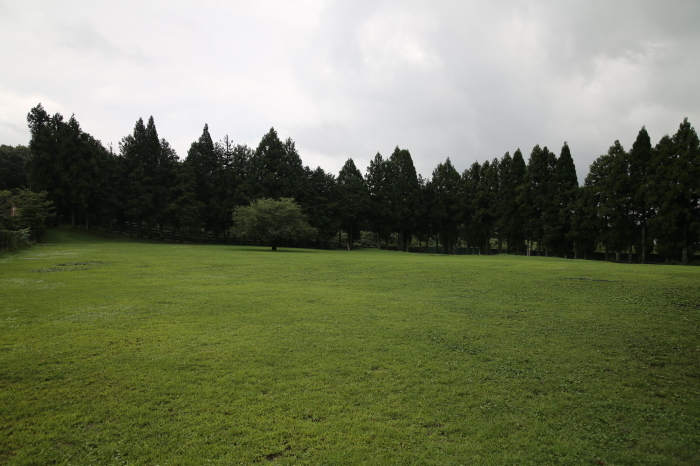 f0363628_23543523.jpg