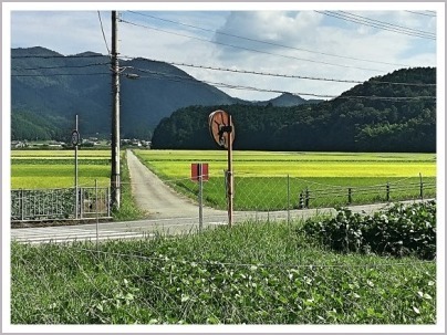 篠山 旧雲部小学校をカフェに、里山工房くもべ カフェ_d0017632_14525990.jpeg