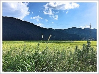 篠山 旧雲部小学校をカフェに、里山工房くもべ カフェ_d0017632_14531297.jpeg