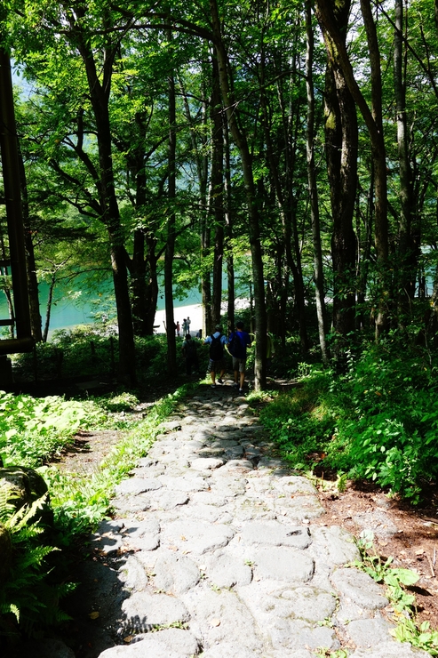 長野県に癒やされよう その3～上高地 大正池 焼岳_a0287336_2082162.jpg