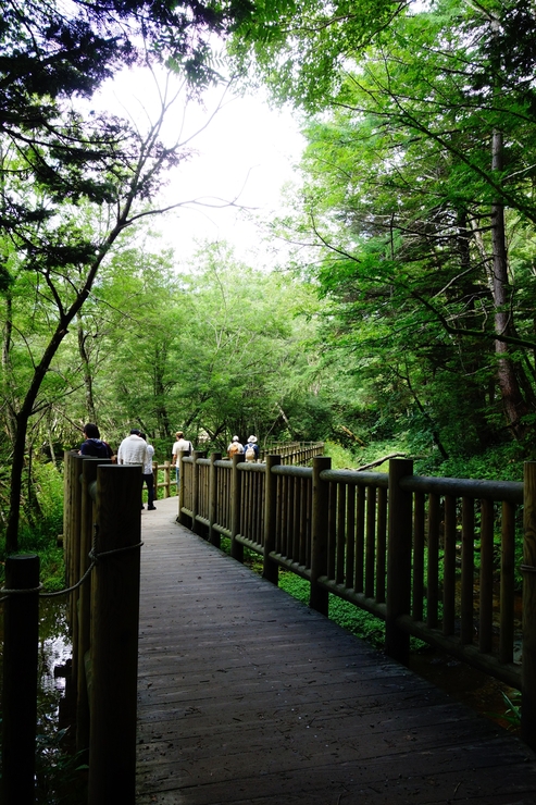 長野県に癒やされよう その3～上高地 大正池 焼岳_a0287336_21103092.jpg