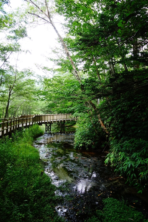 長野県に癒やされよう その3～上高地 大正池 焼岳_a0287336_2112180.jpg