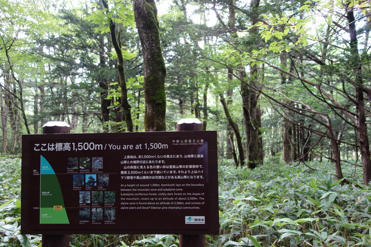 長野県に癒やされよう その3～上高地 大正池 焼岳_a0287336_2144898.jpg