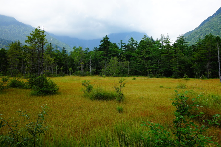 長野県に癒やされよう その3～上高地 大正池 焼岳_a0287336_2153062.jpg