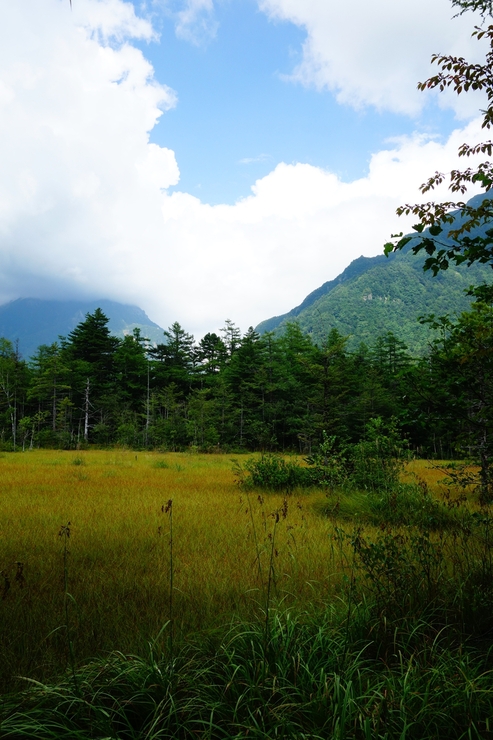 長野県に癒やされよう その3～上高地 大正池 焼岳_a0287336_2154378.jpg