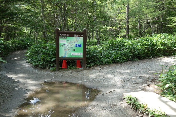 長野県に癒やされよう その3～上高地 大正池 焼岳_a0287336_21594989.jpg