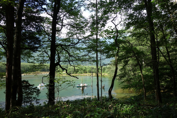 長野県に癒やされよう その3～上高地 大正池 焼岳_a0287336_2163513.jpg