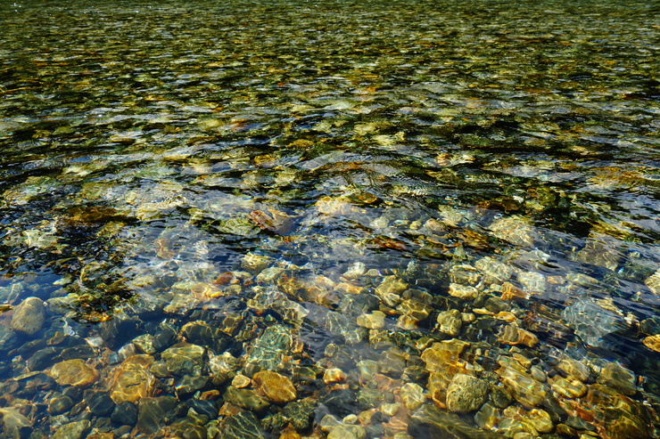a0287336_22143390.jpg