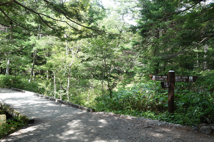 a0287336_22254964.jpg