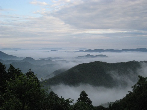 c0077338_610447.jpg
