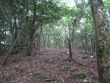 c0077338_6112922.jpg