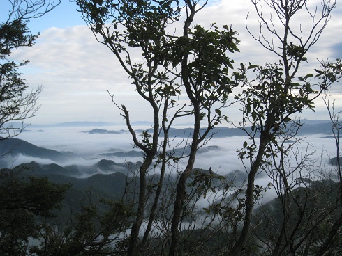 c0077338_612648.jpg