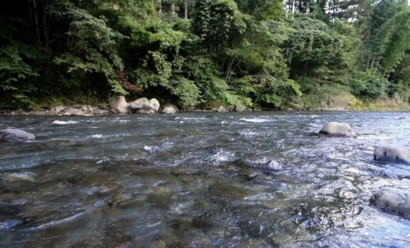 a0056140_14574227.jpg