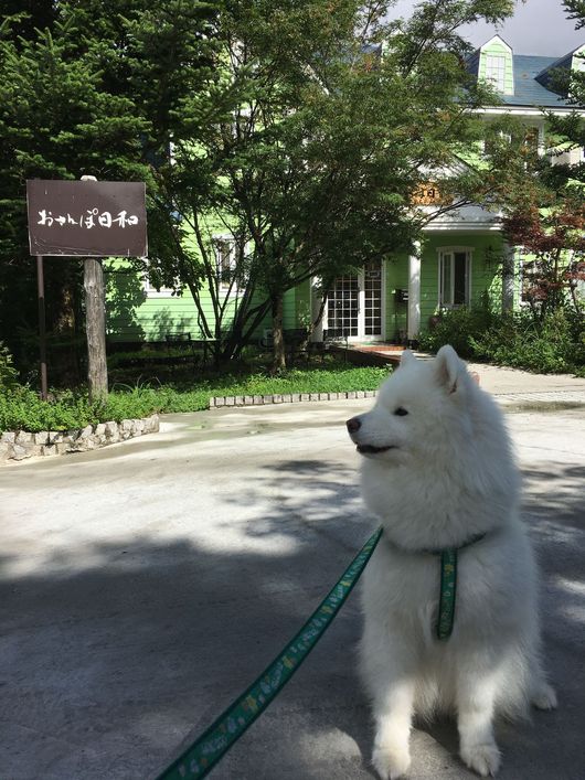 2016年夏 岐阜~長野旅行_f0128542_28214.jpg