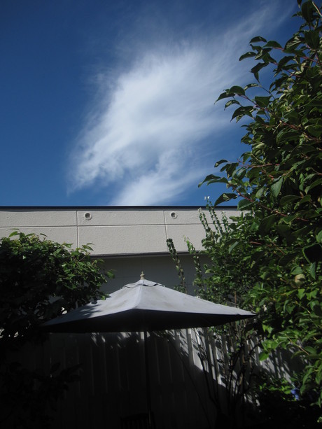 a0279743_9385377.jpg