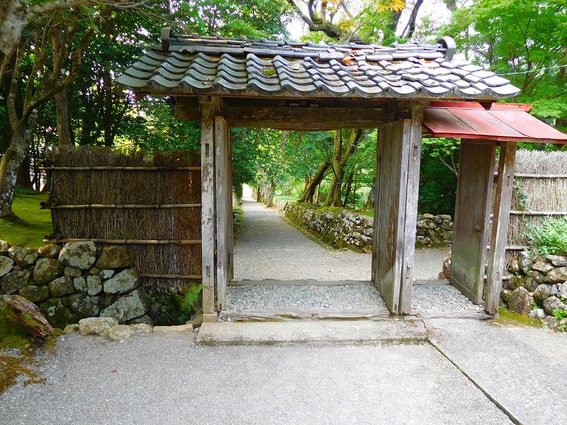 e0237645_1100100.jpg