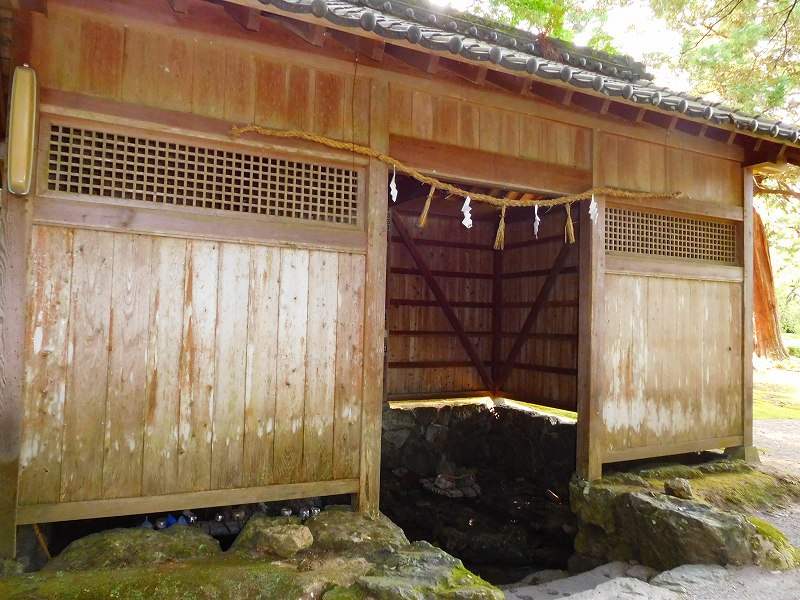 e0237645_111176.jpg