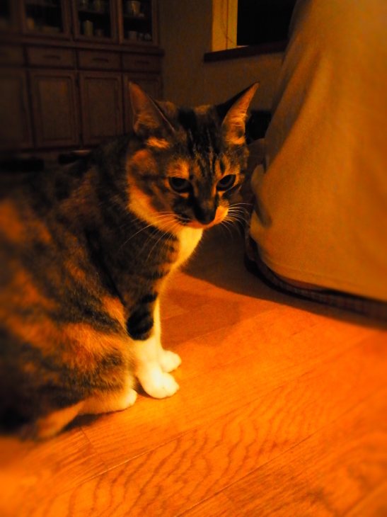 a0305046_13165228.jpg