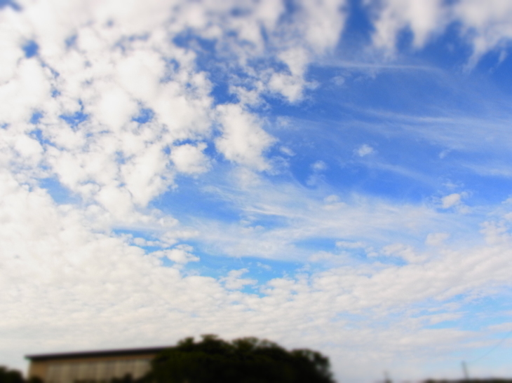 a0305046_13482424.jpg