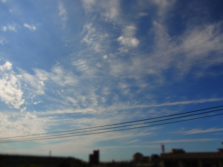 a0305046_13513934.jpg