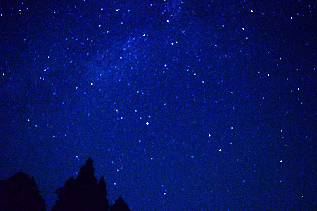 c0339546_92907.jpg