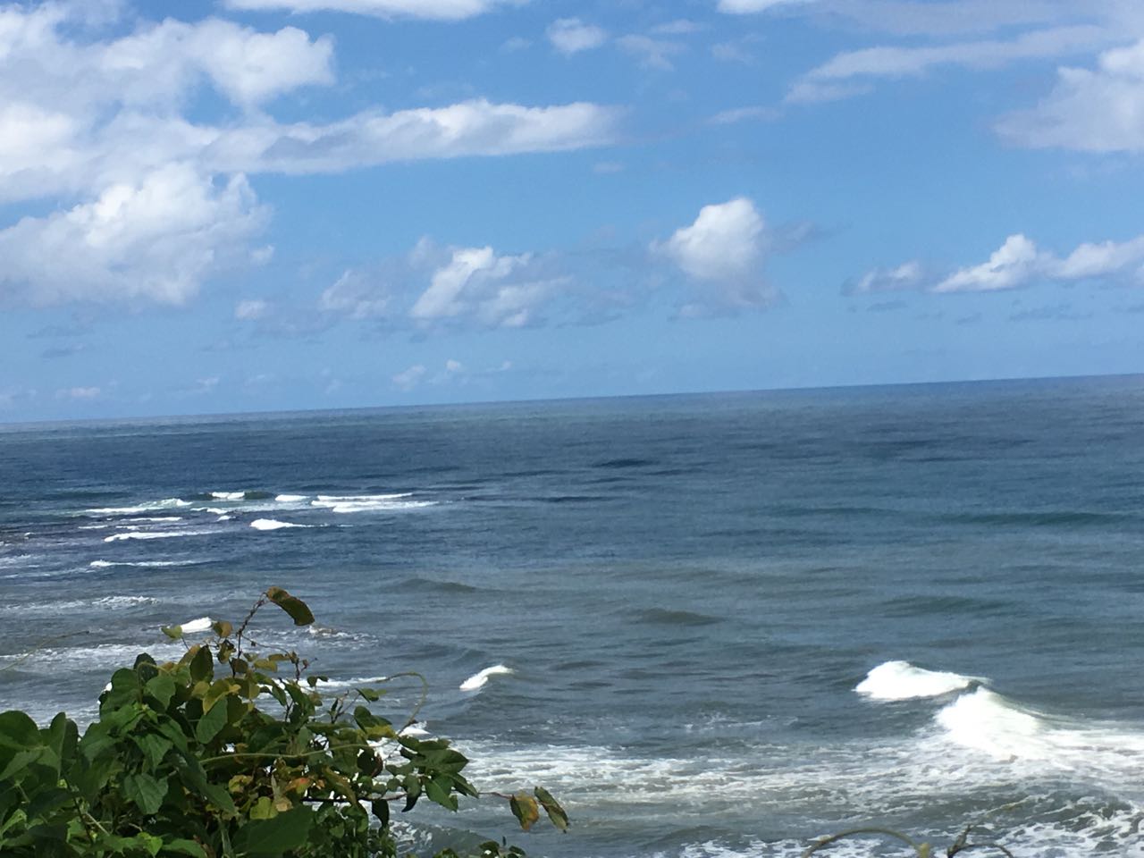 c0254151_1794035.jpg