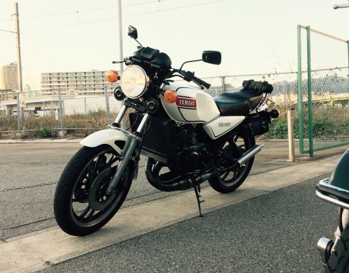 f0326751_13560018.jpeg